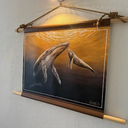 Les Oliviers 11 Appartement, Bord De Mer, Porto-vecchio 포르토베쉬오